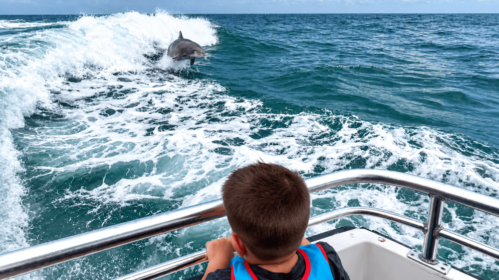Child on boat watches a dolphin jumping in ocean waves.