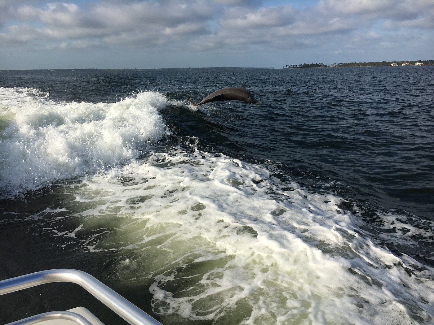 Dolphin jumping over ocean waves near a boat.
