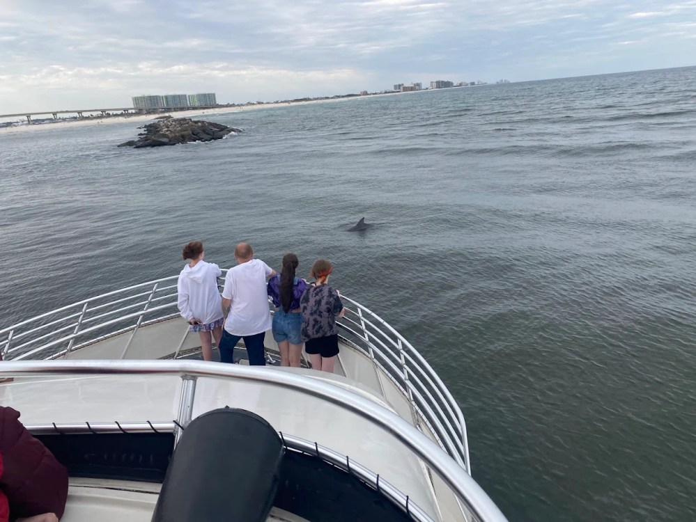 People on a boat watching a dolphin in the ocean near the shore.